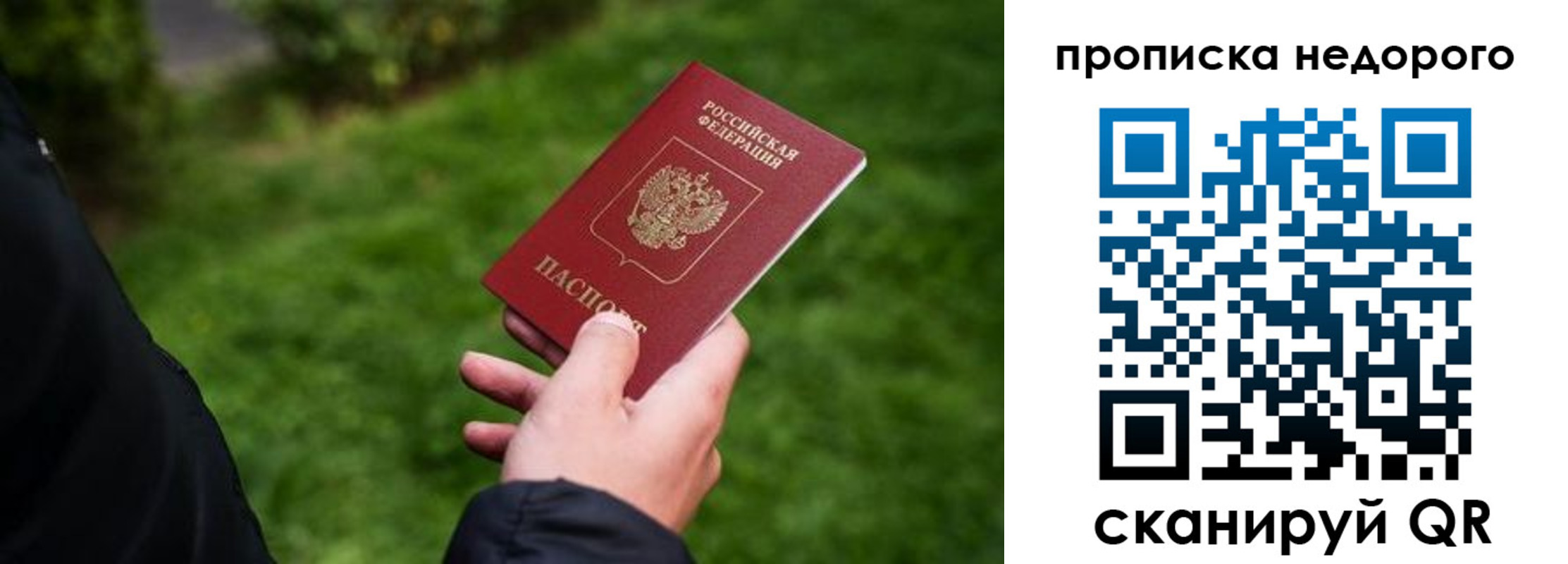 временная регистрация поиск в Александрове
